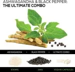 Ashwagandha Supplement