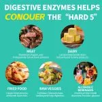 Digestive Enzyme